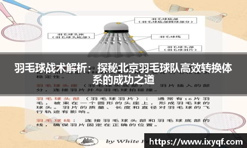 羽毛球战术解析：探秘北京羽毛球队高效转换体系的成功之道